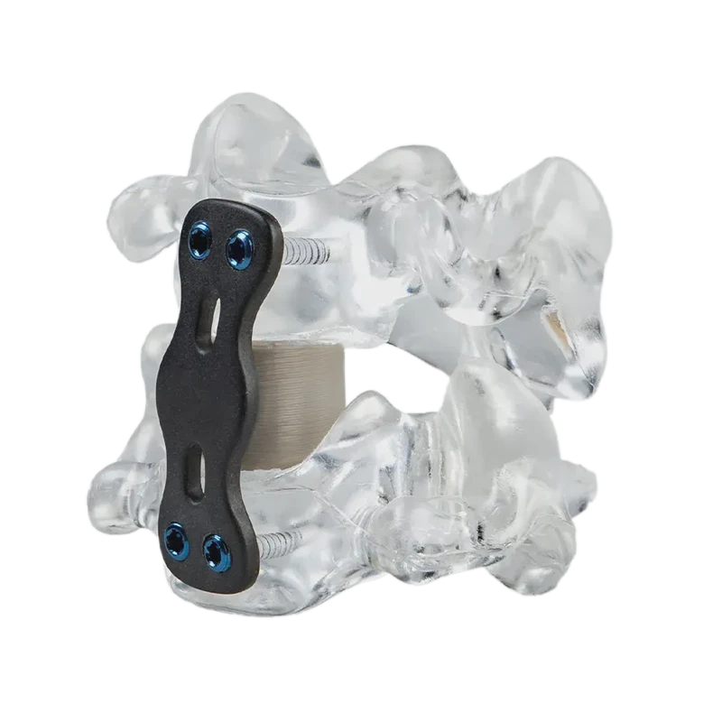 解剖视频瑞典：一场穿越北欧的医学艺术之旅