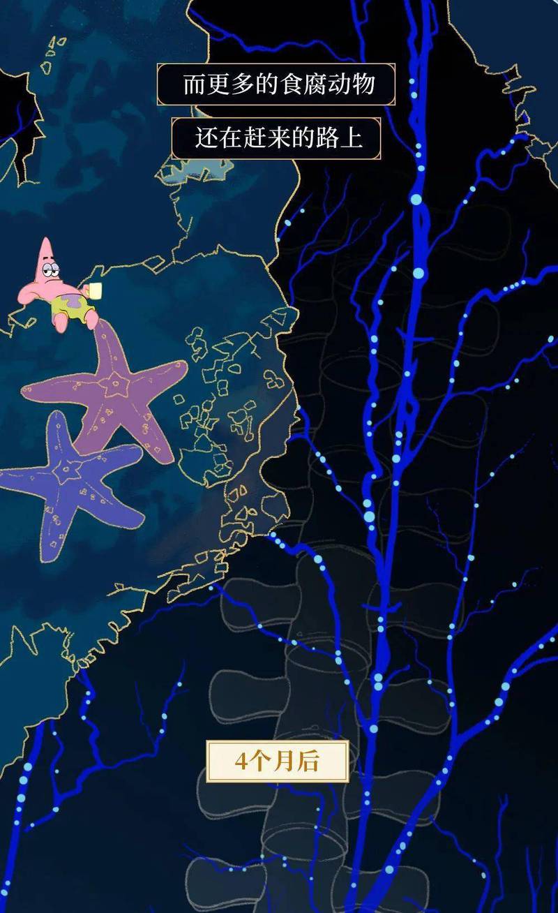 深海断层中的时间棺材？