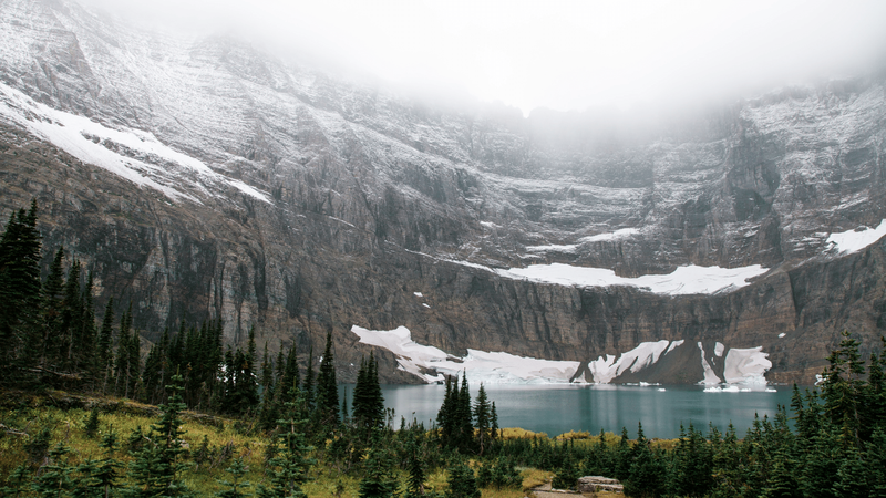 别被名字骗了，北美冰川白泽到底是个什么神仙好物？