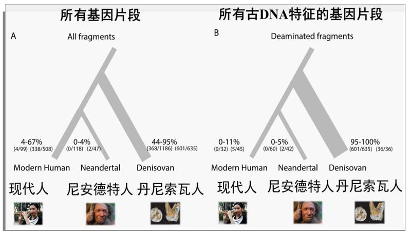 当基因的画笔遇上现实—人类DNA改造的迷雾与希望