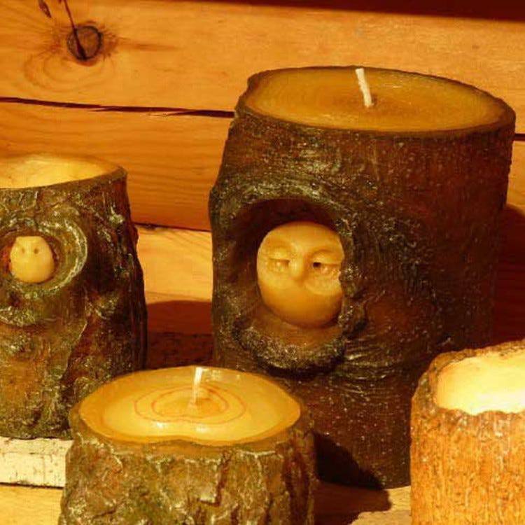 在废墟里长出的火焰精灵，我见过它燃烧的样子