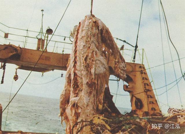 楼兰之谜—古老遗址的神秘海怪与透明立方体