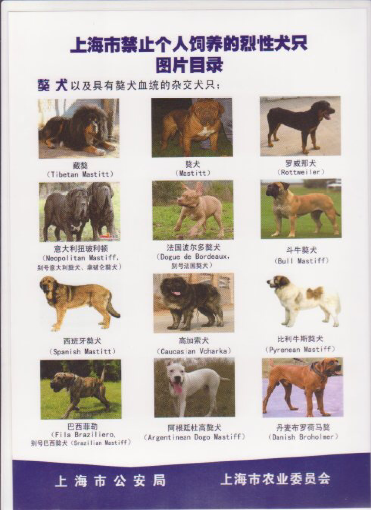 烈焰印度洋双头犬—这疯狗，到底咬的是谁？