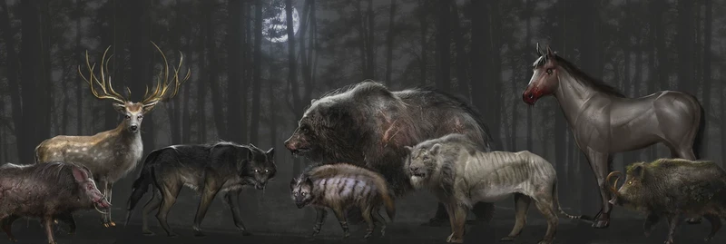 沼泽深处的三头犬传说！