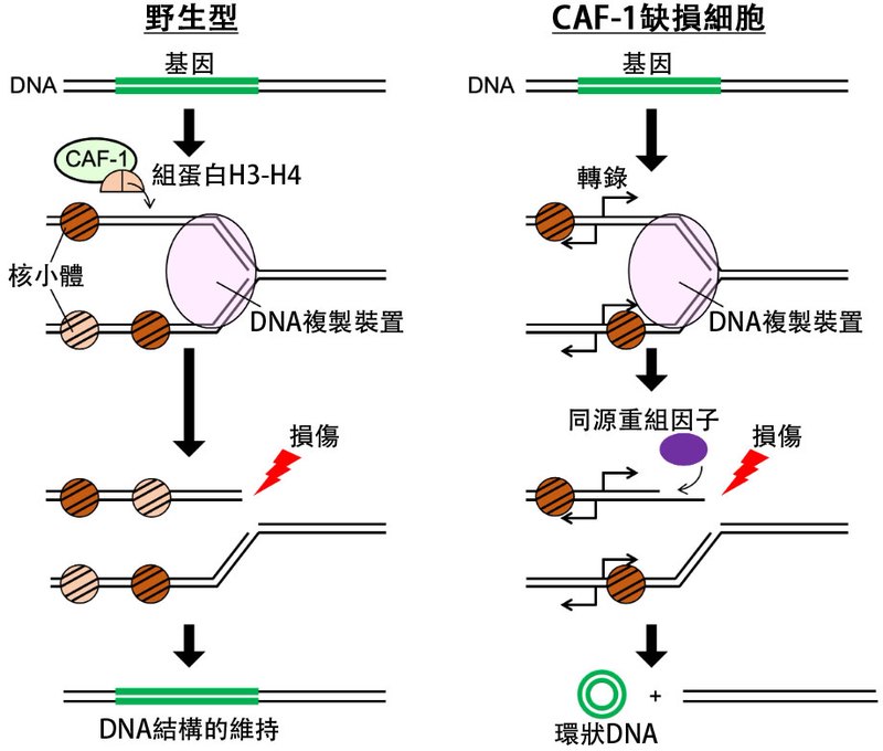 记忆中的那片蓝·南海，你为何如此遥远？