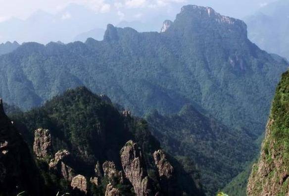 远古神农架狮鹫—原始的力量与生存的奇迹