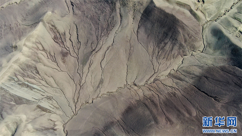 落基山脉的量子秘密｜一个未解之谜