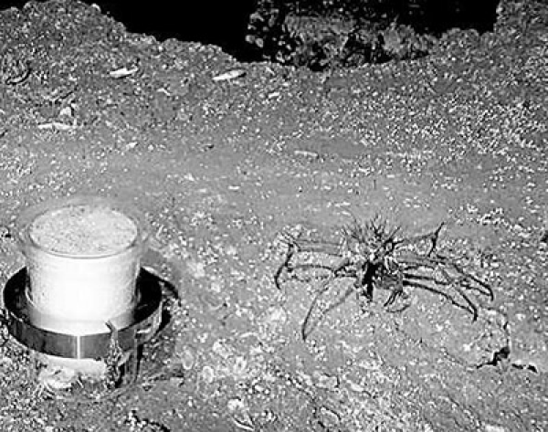 海底的冷泉与玻璃棺丨一个关于雷暴球的未解之谜