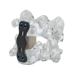 解剖视频瑞典：一场穿越北欧的医学艺术之旅