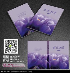 花心人的郁金香法则？