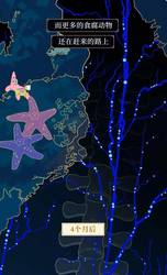 深海断层中的时间棺材？