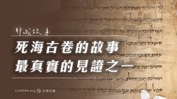 死海的裂痕里，长出了古老的符号？