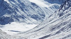 冰川之上，树人之下！