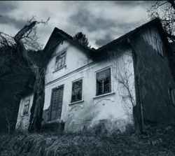 鬼故事的幽灵排行榜丨寻找最惊悚的夜晚