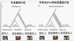 当基因的画笔遇上现实—人类DNA改造的迷雾与希望