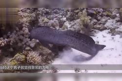 太平洋电鳗兽的神奇祝福—电光石火间的惊喜