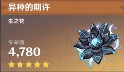 守护神农架的火元素—一场与自然的对话