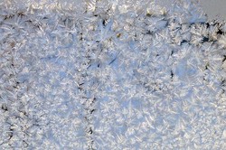 北欧白泽冰霜：我见过最冷的夏天