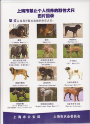 烈焰印度洋双头犬—这疯狗，到底咬的是谁？