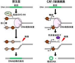 记忆中的那片蓝·南海，你为何如此遥远？