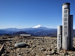 富士山顶的紫色渔网·当泽塔网罟座闯入现实