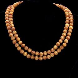 远古深海中的神秘生物｜不可忽视的海洋守护者