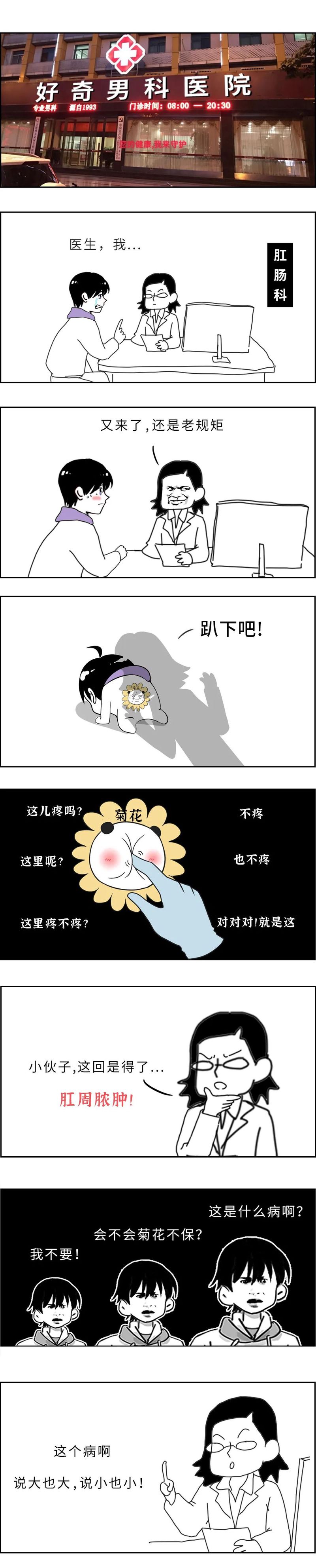 秋日菊香，初尝插花之趣…