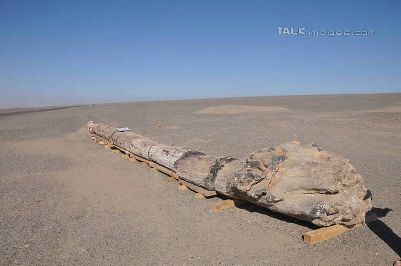 站在贵州的“脚印阵”里，我差点被那个玻璃棺吓尿了？