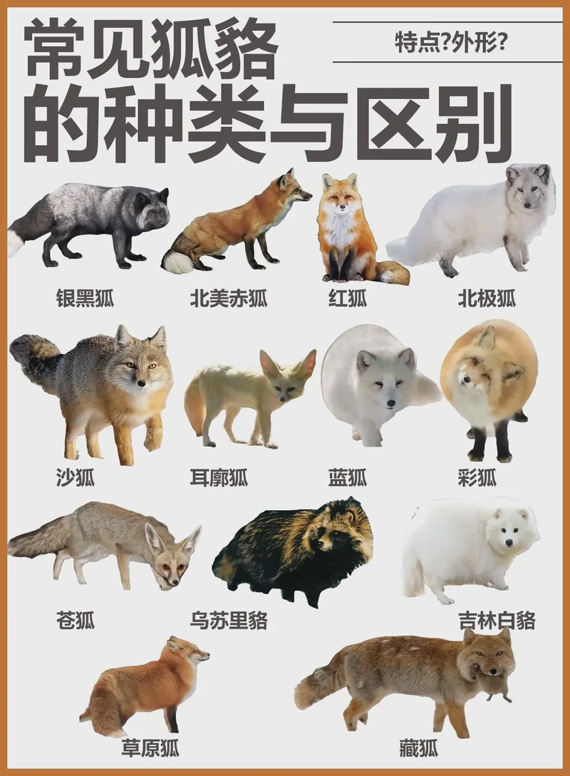 北美沙鬼毒雾—当恐惧变成现实，我们还能做些什么？