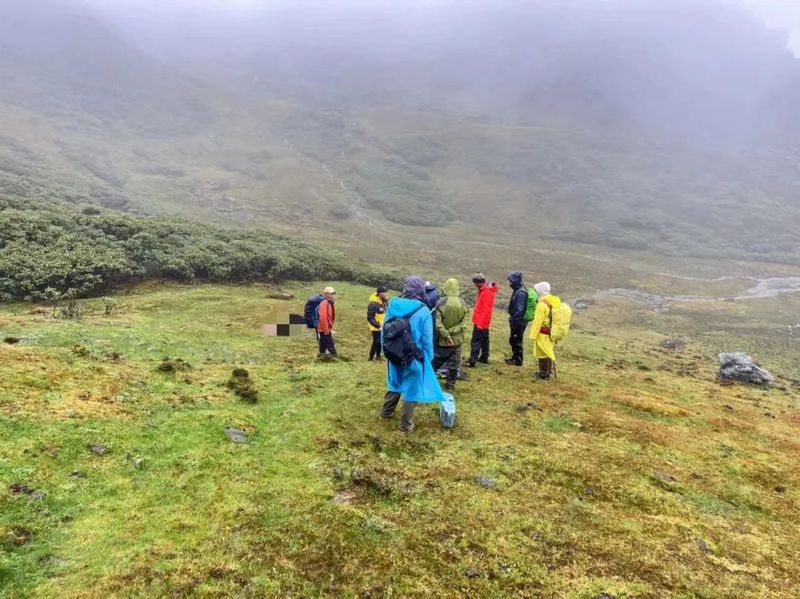 黑暗雪山树人—那个让我在雪夜里瑟瑟发抖的古老守望者