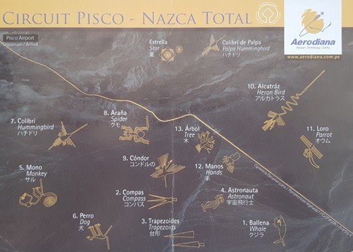 纳斯卡线条的迷思丨一个关于人类、土地和宇宙的古老密码