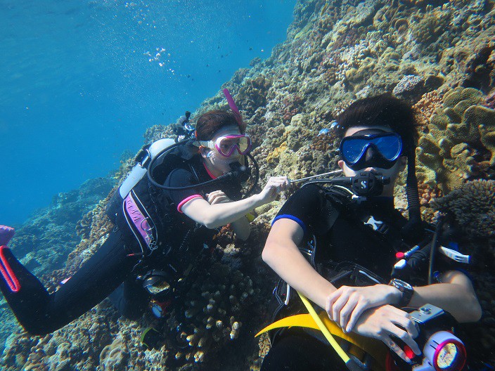 潜入那片发光的幽暗｜大洋洲深潜者夜行实录