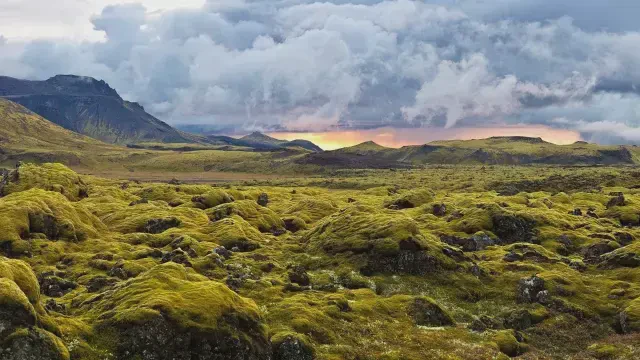 冰岛目击外星杂交·是真的吗？