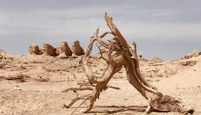 楼兰旧址诡异脚步·逆刻罗盘的未解之谜