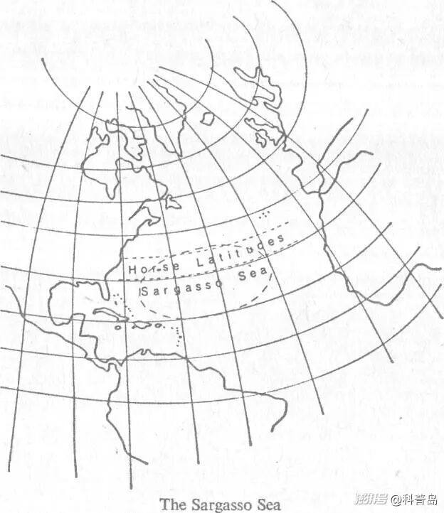 百慕大维度提升目击·一场科学与想象的交汇
