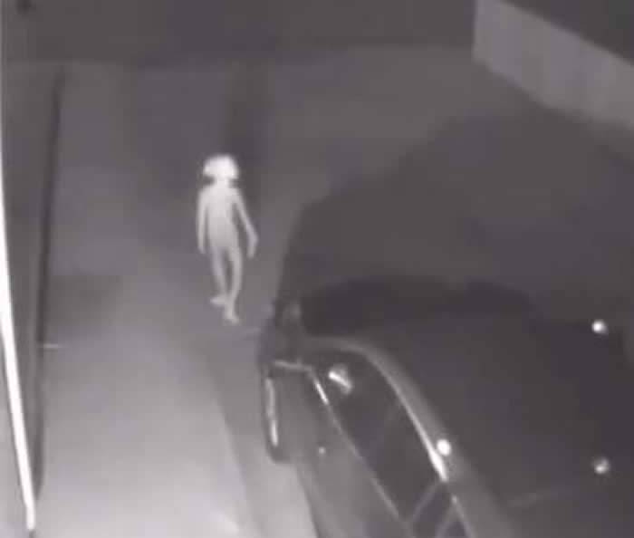 科罗拉多的雪地里，我遇见了小灰人？