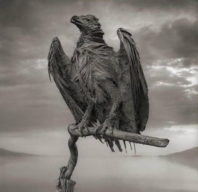 盐湖上的神秘倒影｜群体幻觉与自然奇观的交响