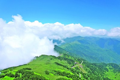 神农架金龙·揭秘千年神秘传说