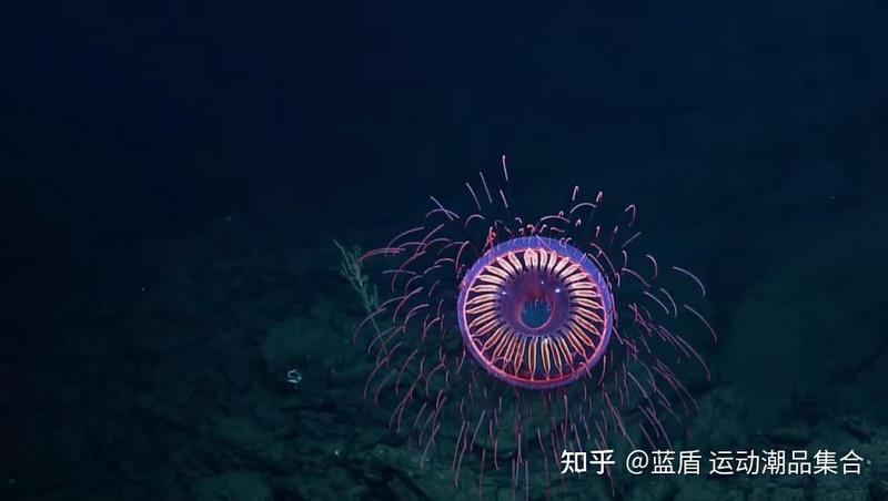 马里亚纳海沟那神秘的光柱，隐藏着怎样的秘密？