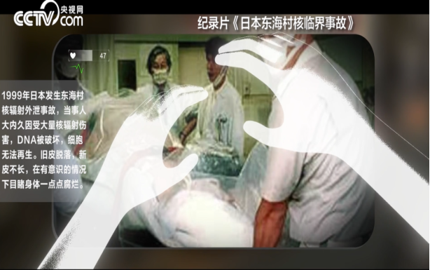 DNA激活阿拉伯海辐射残留丨科学与人文的交织