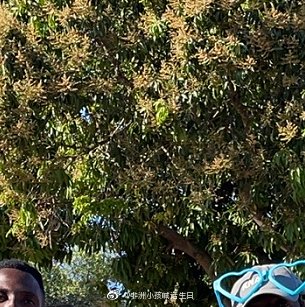 非洲的祝福，旧日支配者的遗产