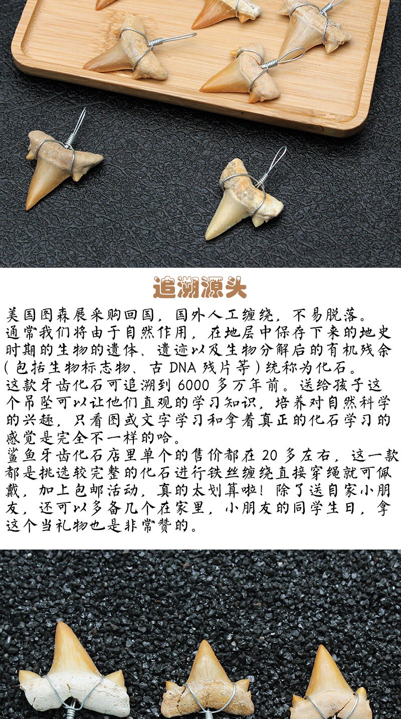 我在玛雅遗址捡到一串牙齿，后来才明白它藏着什么秘密？