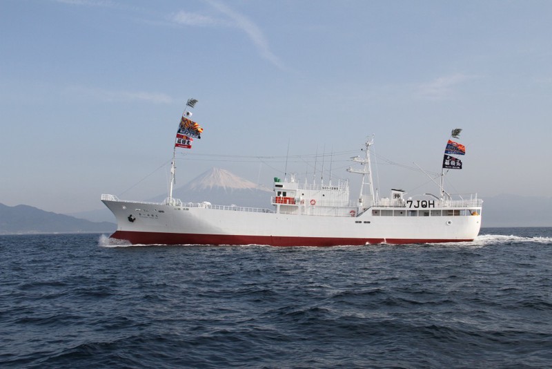 大西洋人鱼航路—我曾在深海听见歌声