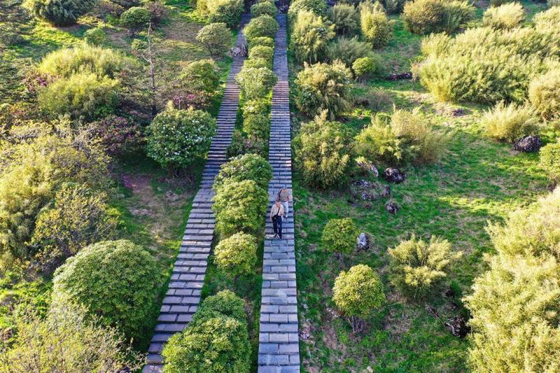 神农架利维坦风暴｜揭秘神秘的自然奇观