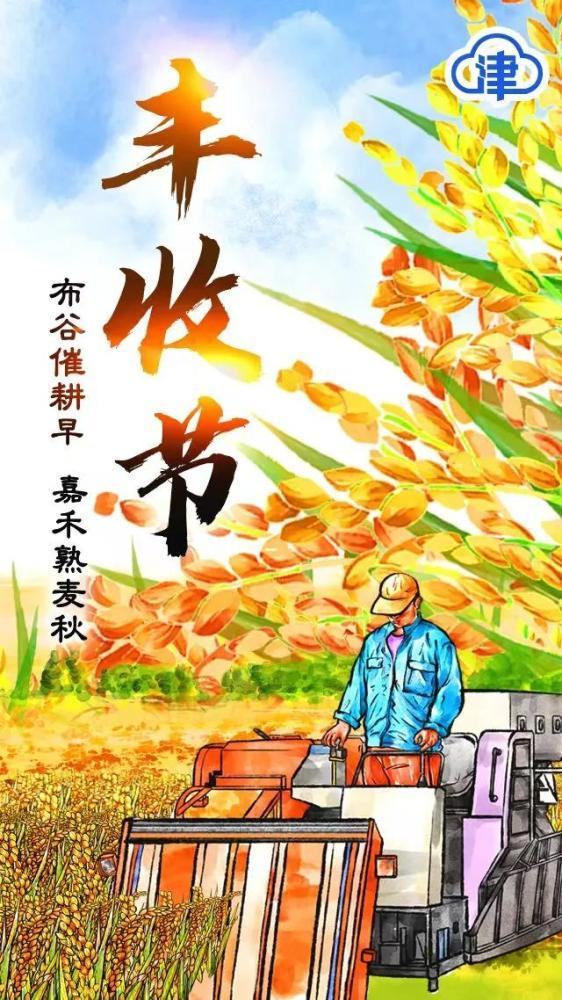 大洋洲的土元素—丰收的秘密藏在泥土里