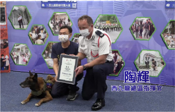 警徽下的爱情旋律…