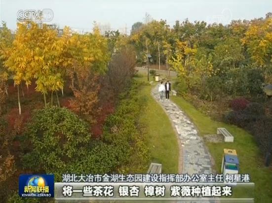 黑雾中的阴影·揭秘地下河道的空白户籍之谜