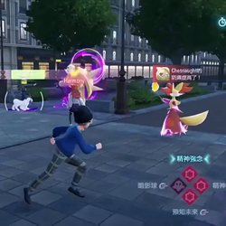 那些藏在庙宇角落的巨龟，到底在守护什么？