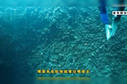 深海的低语·马里亚纳海沟黑胶片残影录像的神秘之旅