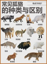 北美沙鬼毒雾—当恐惧变成现实，我们还能做些什么？